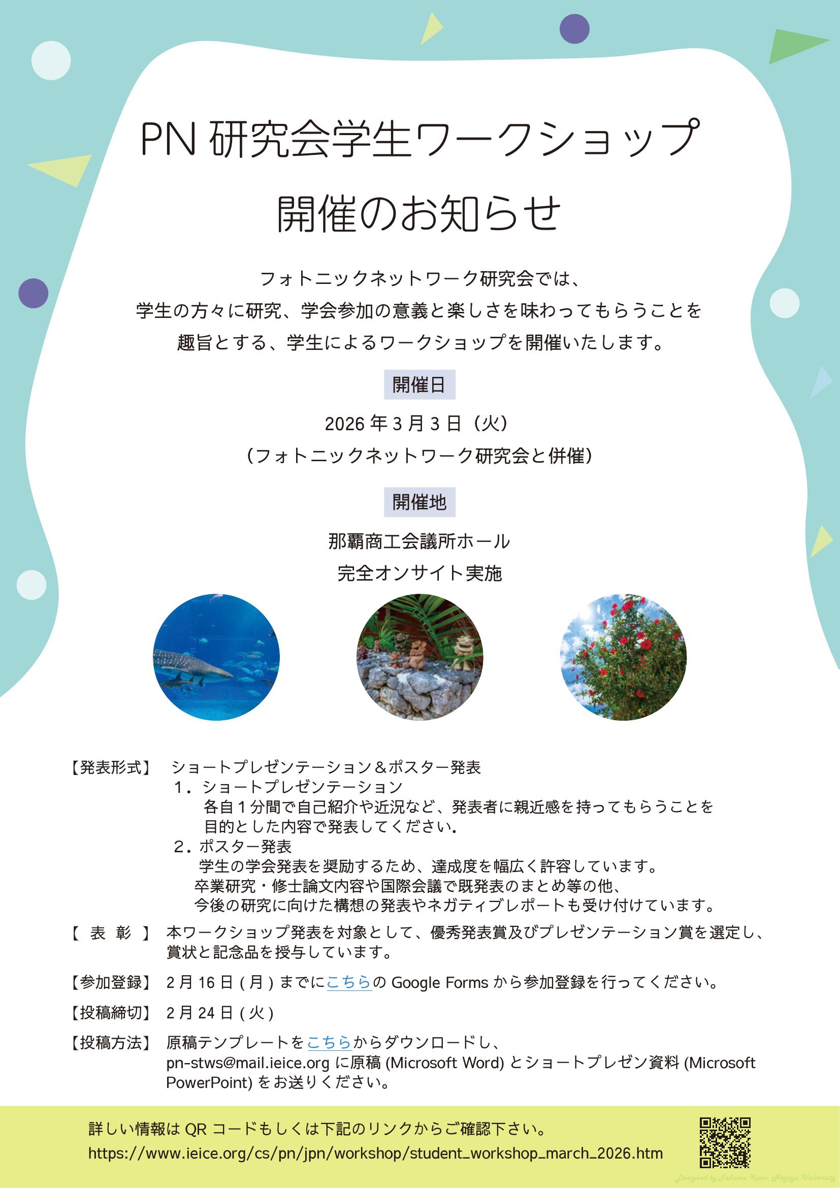 チラシ: PDF
