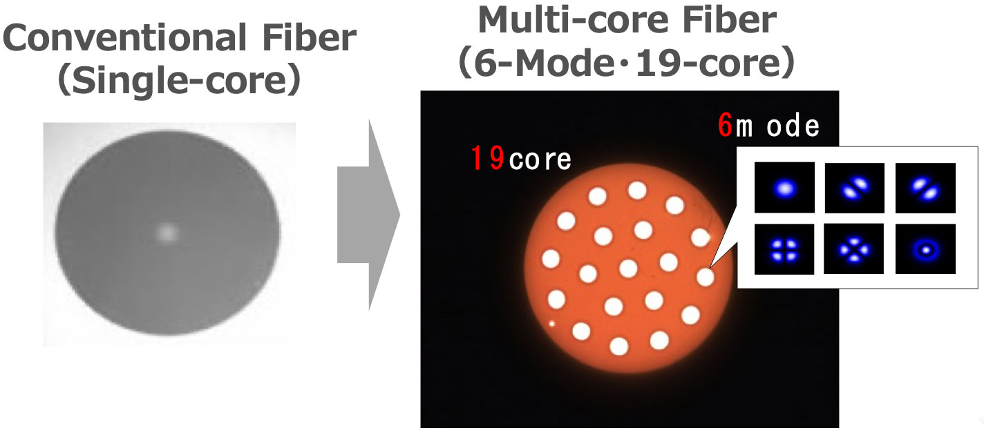 Fig.1 Cross section view of optical fiber