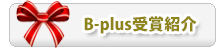 B-plus受賞論文